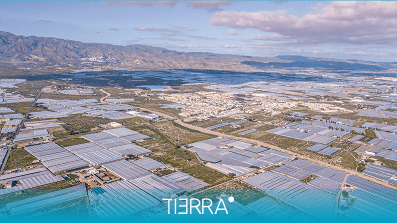 El plástico en los invernaderos podría tener sustituto, Actualidad