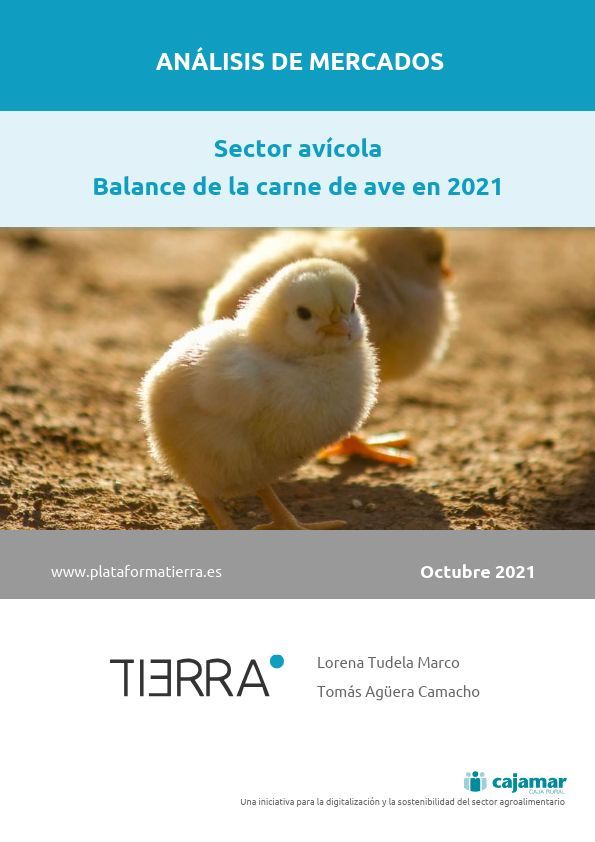 Portada Informe Mercados sector avícola