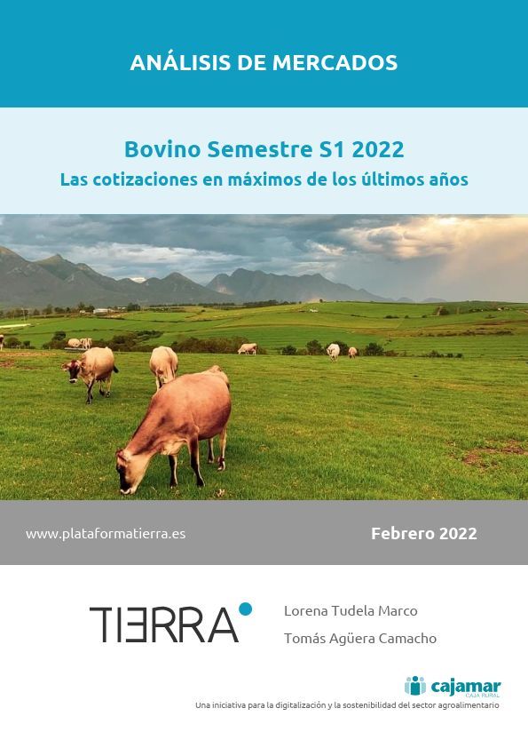 Portada del informe de Mercados sobre el sector bovino del primer semestre de 2022
