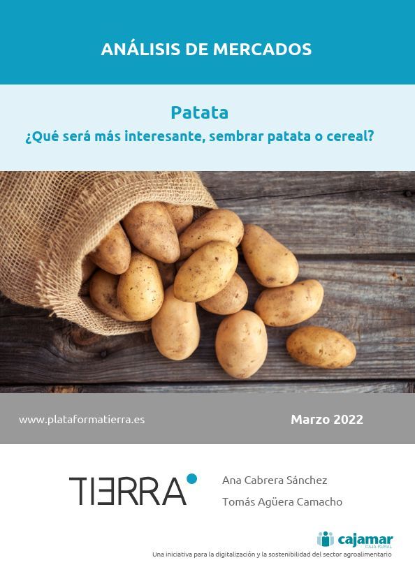 Portada del informe de Mercados del primer semestre de 2022 de la patata