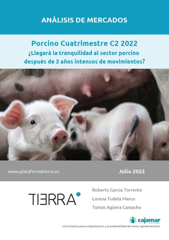 portada del Análisis de Mercados de porcino cuatrimestre C2 2022