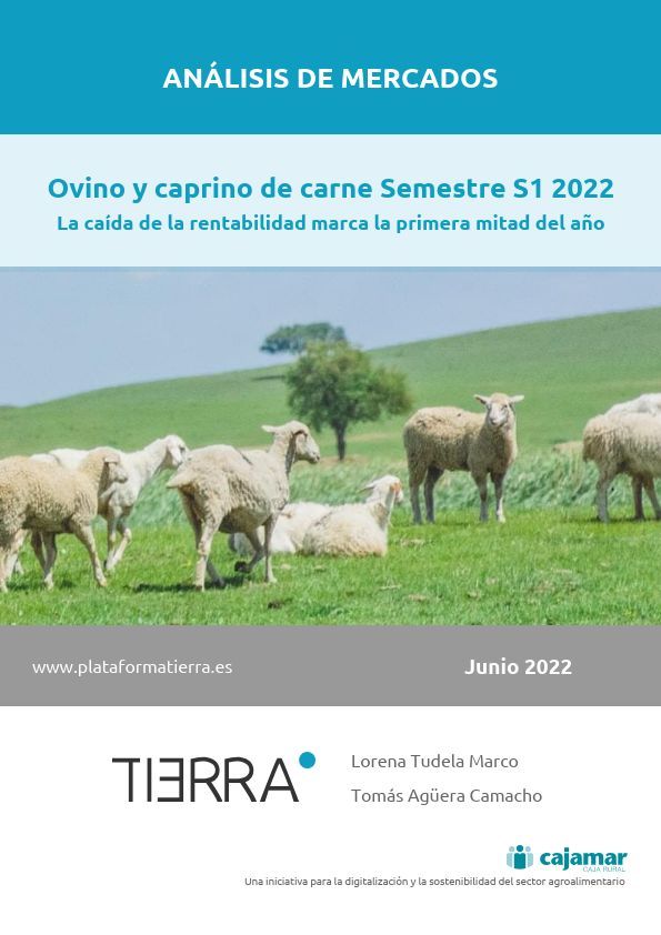 Portada del informe de Mercados de ovino y caprino de carne S1 2022