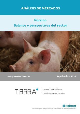 Portada de Análisis de Mercados. Sector porcino