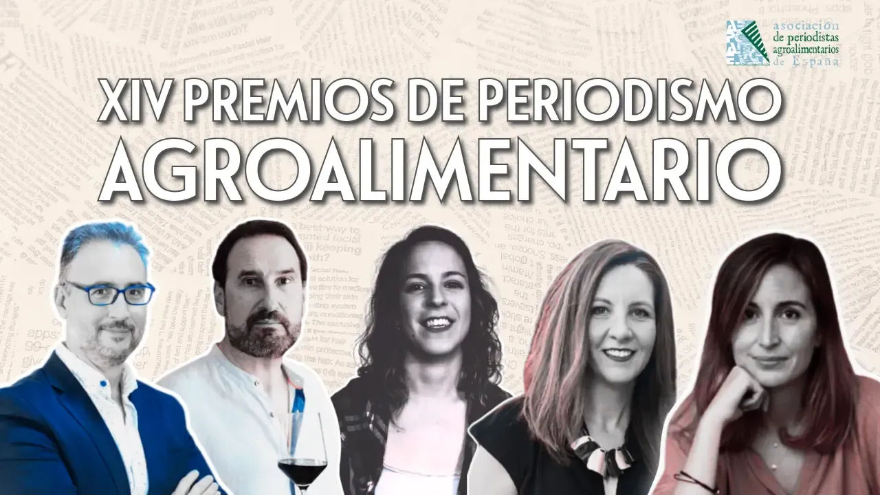 Los periodistas ganadores de los Premios APAE 2024.