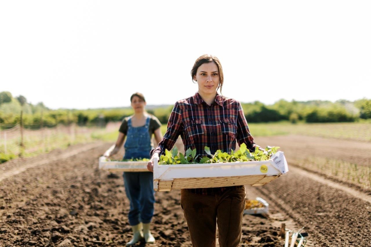 Dos personas cargando cajas con productos vegetales producidos con biofertilizantes