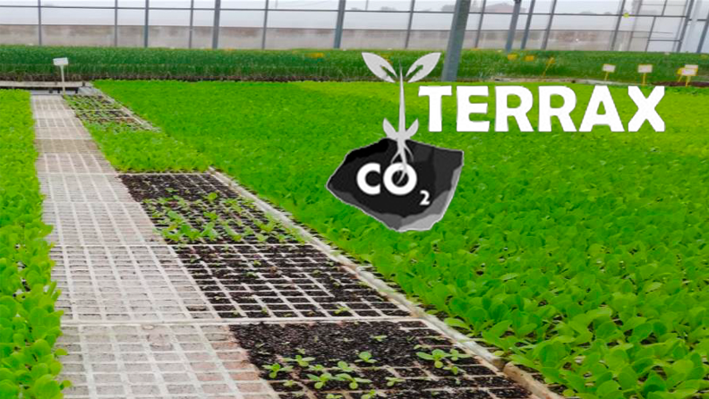 PROYECTO TERRAX