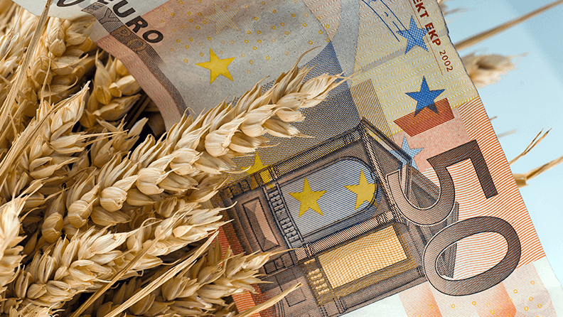 Billete de 50 euros en un campo de trigo 