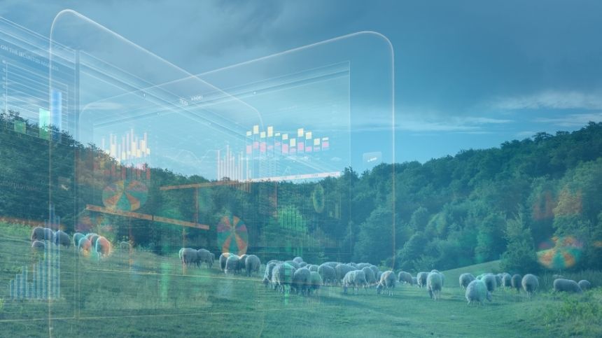 Observatorio de la Digitalización. Los grupos operativos como herramienta de innovación Un rebaño de ovejas pastando en un prado con gráficos transparentes superpuestos.