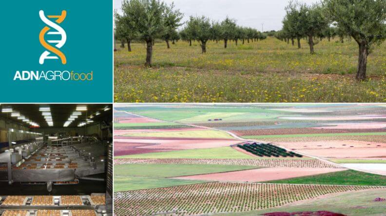 Análisis sintético del sector agroalimentario de Castilla-La Mancha 2018
