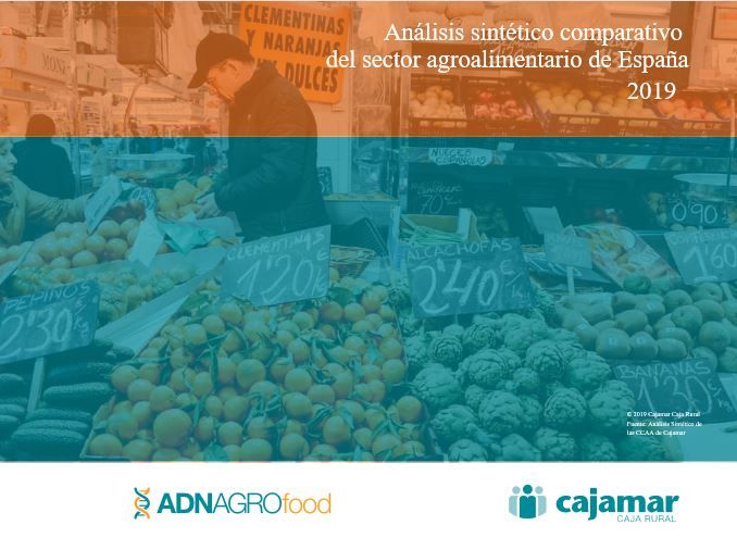 Foto análisis sintético comparativo del sector agroalimentario de España 2019