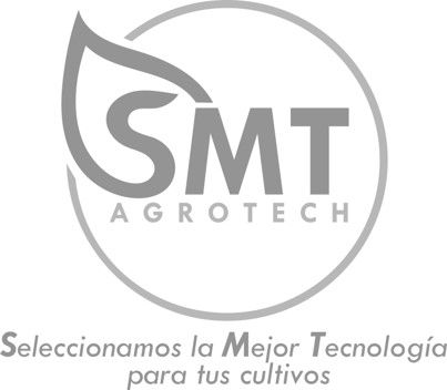 Logotipo smt