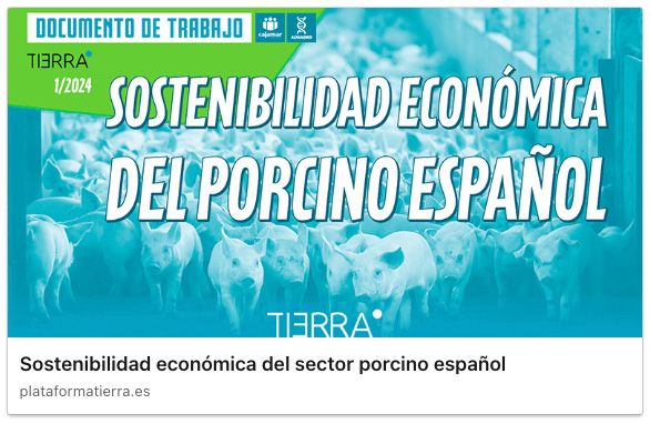 Sostenibilidad Económica del Porcino Español