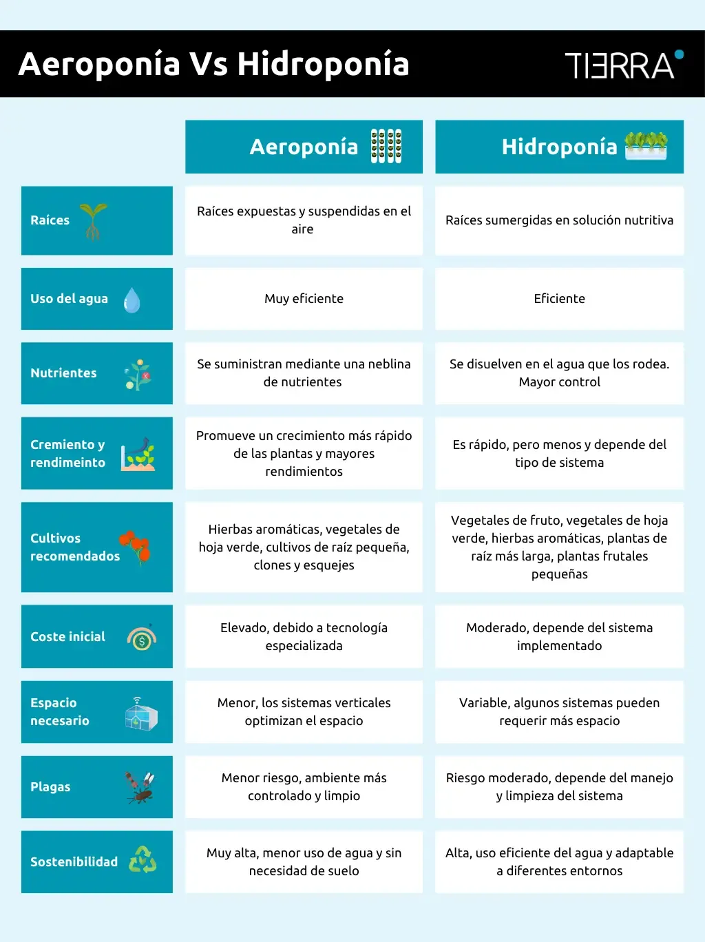 tabla compartiva aeroponia v hidroponia.webp