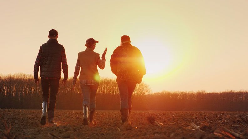 Tres personas caminando en un campo de cultivo, cooperativismo agrícola