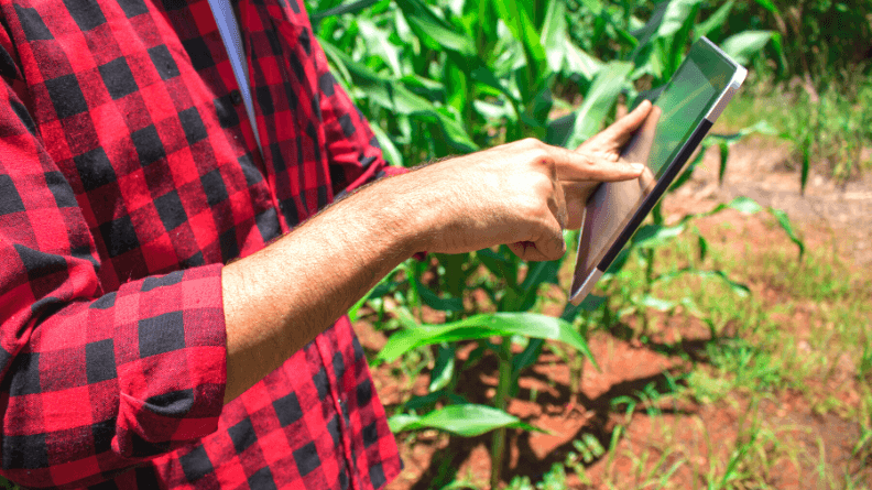 Un ingeniero monitoriza una finca.