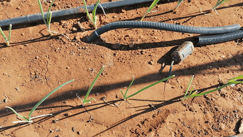 Sensores capacitivos BrioAgro instalados