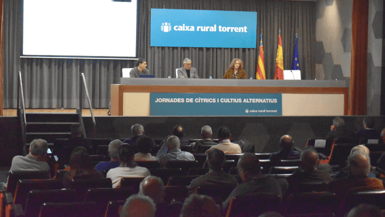 Jornada sobre cítricos de Caixa Rural Torrent.