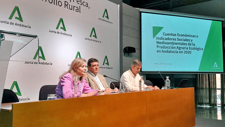 La Consejería de Agricultura, Pesca, Agua y Desarrollo Rural ha publicado en su web el nuevo informe sobre ‘Cuentas económicas e indicadores sociales y medioambientales de la Producción Agraria Ecológica en Andalucía’