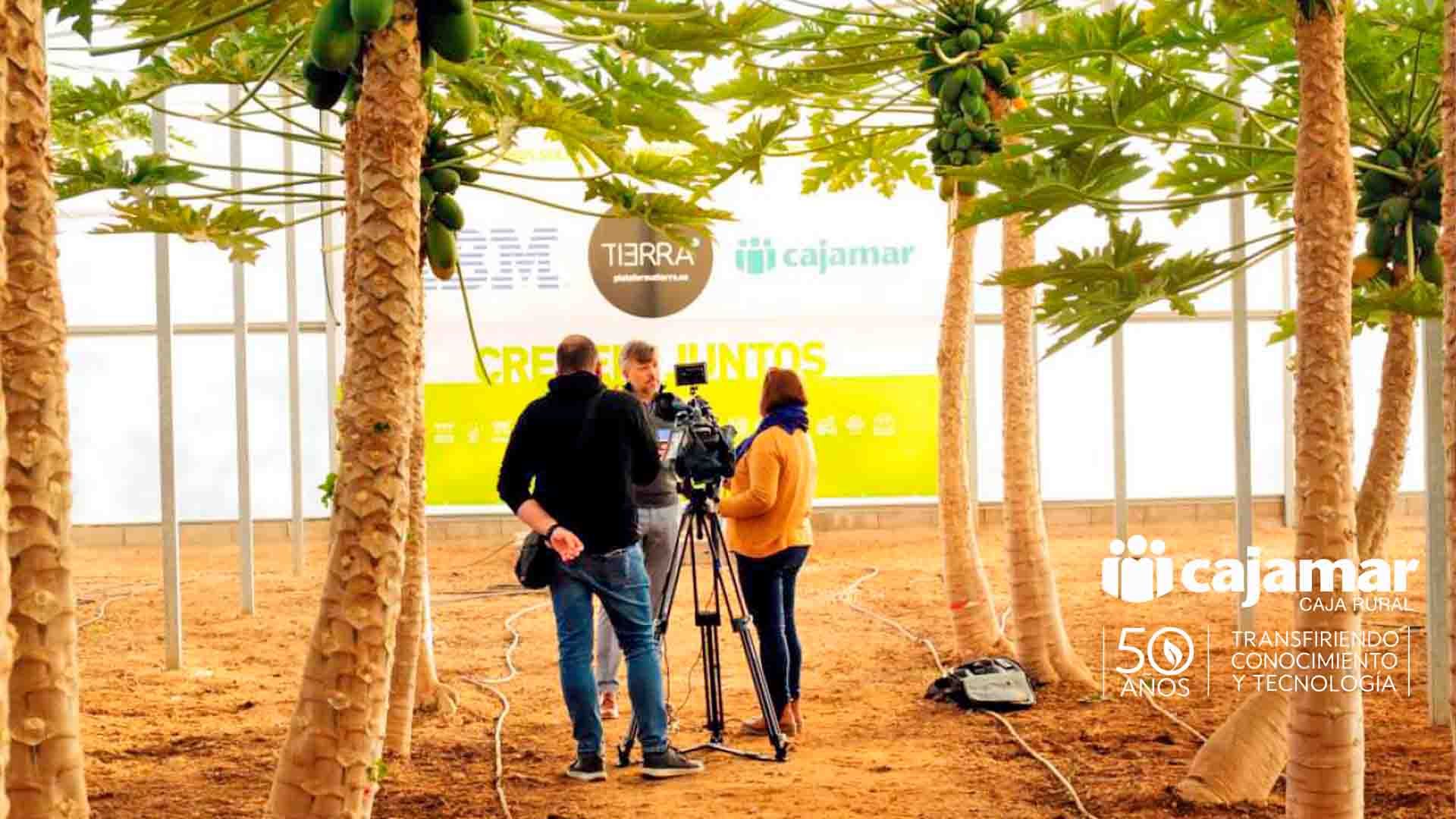 Un equipo de grabación filma en un invernadero de papayas con logos de empresas.