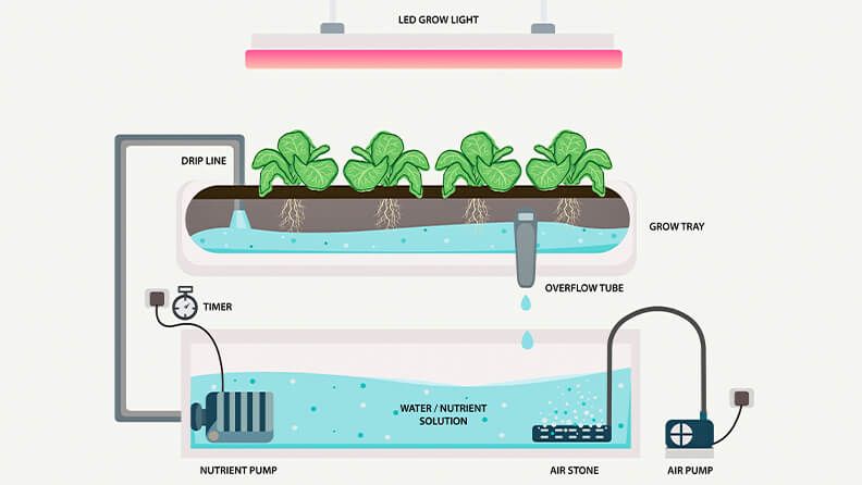 Ilustración sobre el sistema hidropónico en horticultura.