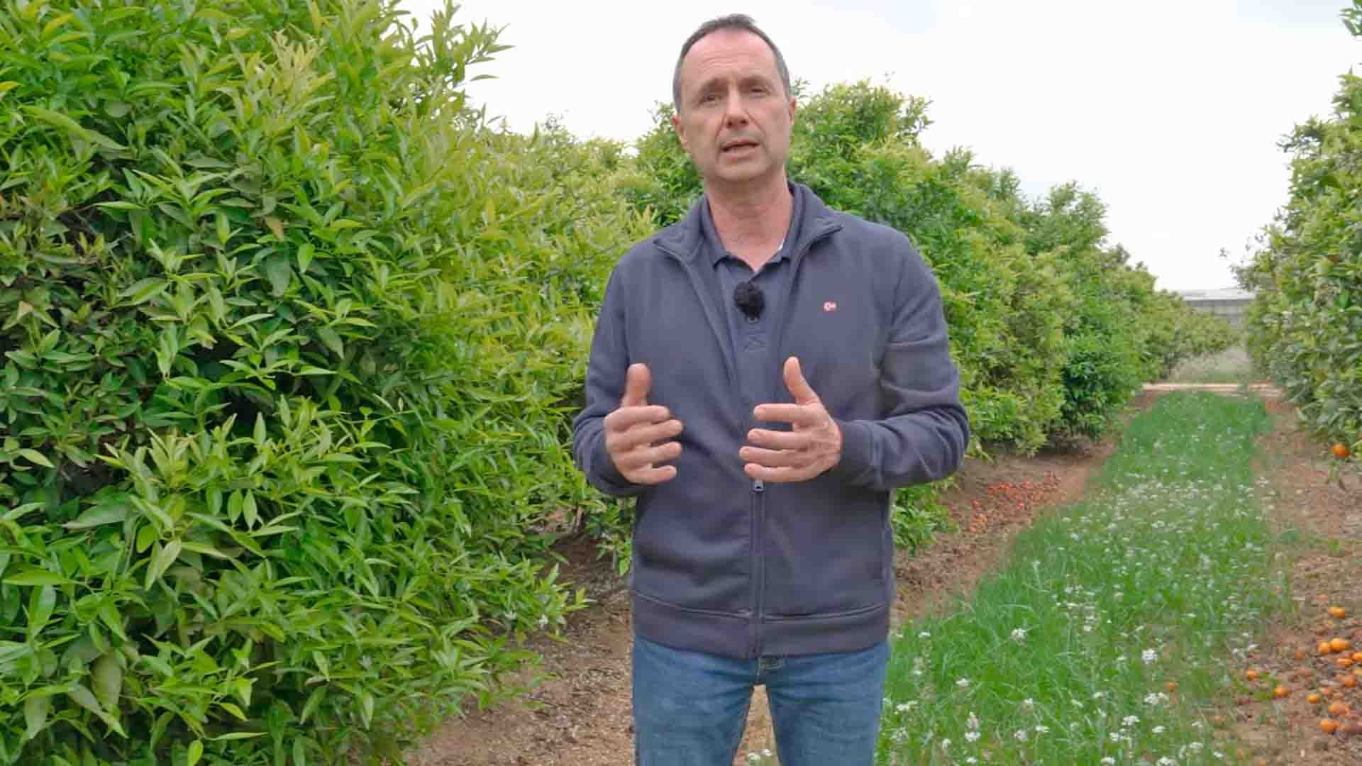 El investigador del Centro de Experiencias Cajamar, Alfonso Giner. 