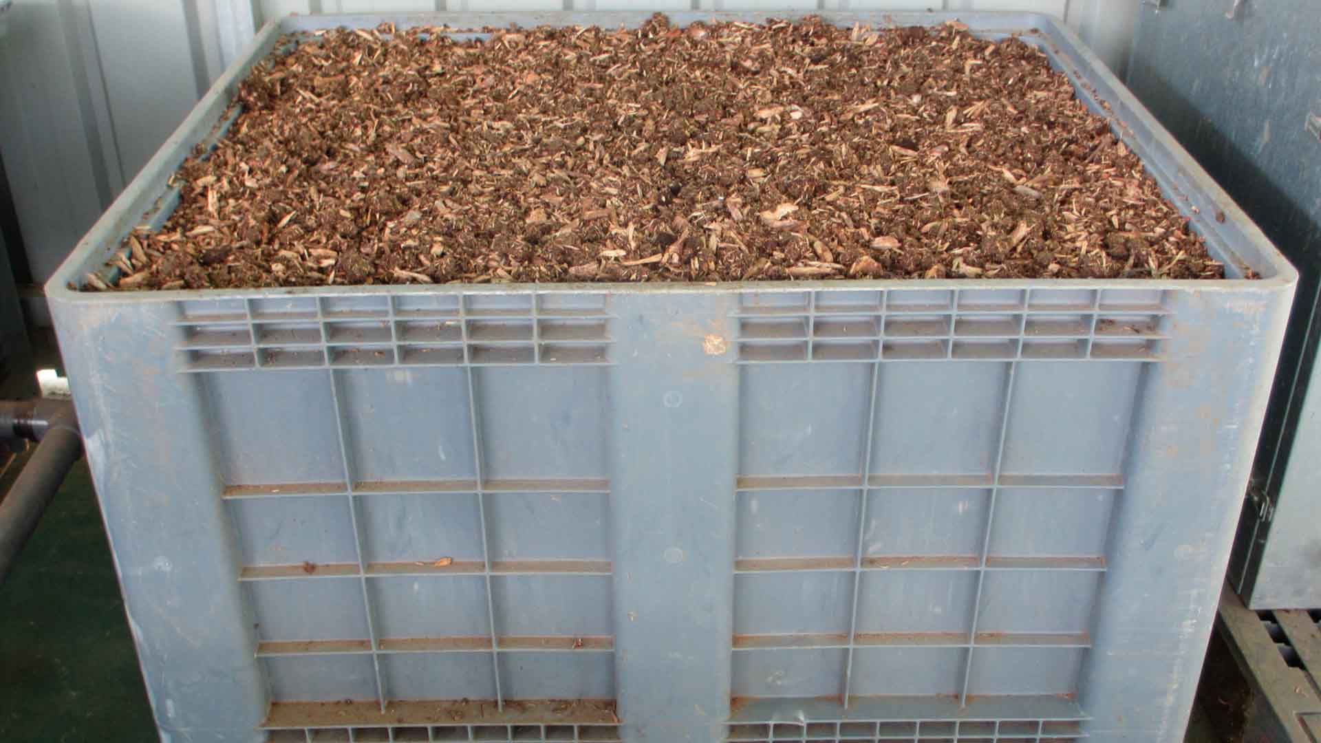 Compostadora llena.