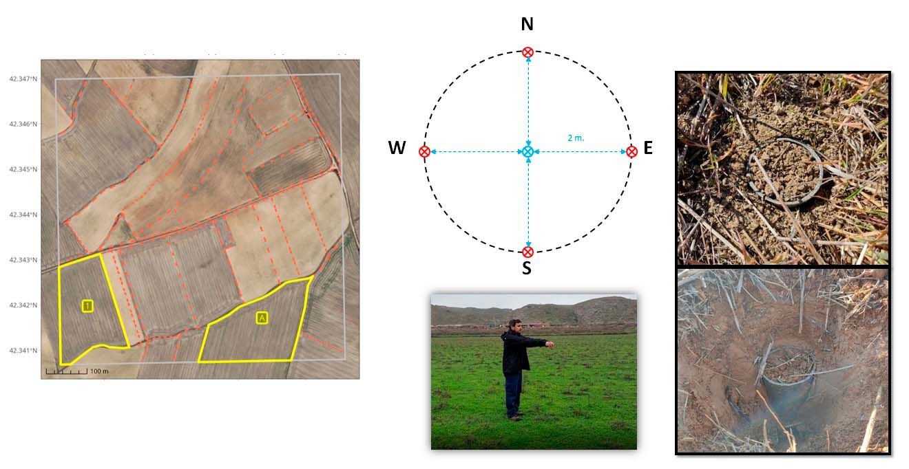 Diseño del muestreo: elección del par de parcelas contrastadas, distribución de las 4 sub-muestras, toma de imágenes digitales y muestreo con anillos de densidad a dos profundidades.