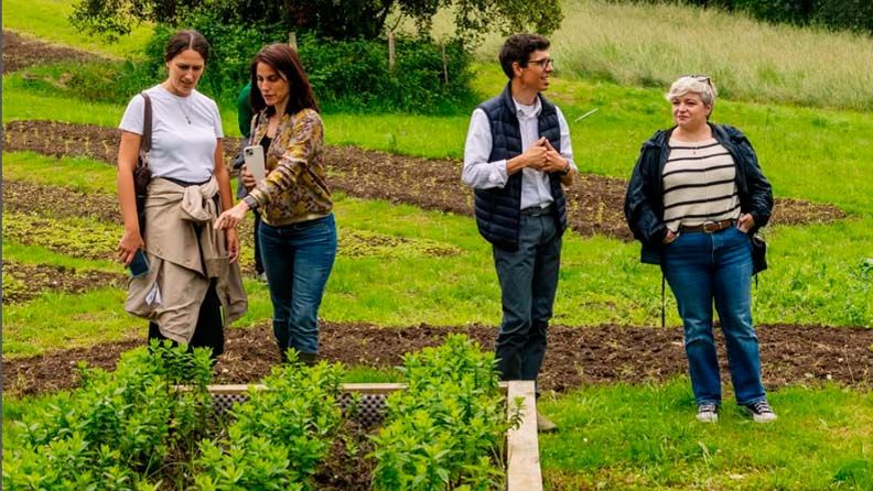 Web formación basque culinary center