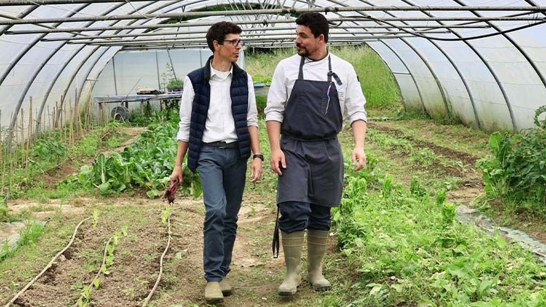 Web formación basque culinary center. efe agro
