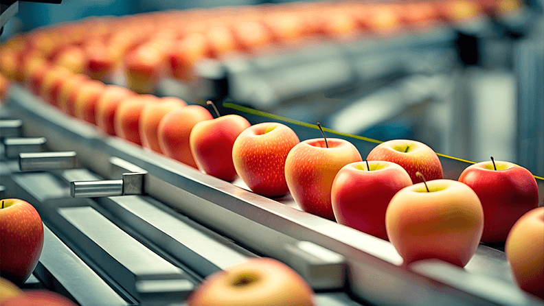Manzanas en una planta de procesamiento de alimentos