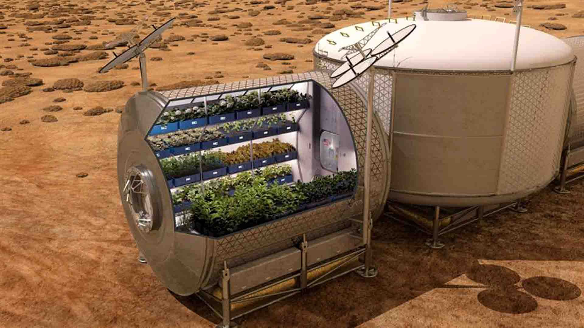 Proyecto para conseguir lechuga espacial. Imagen: NASA.