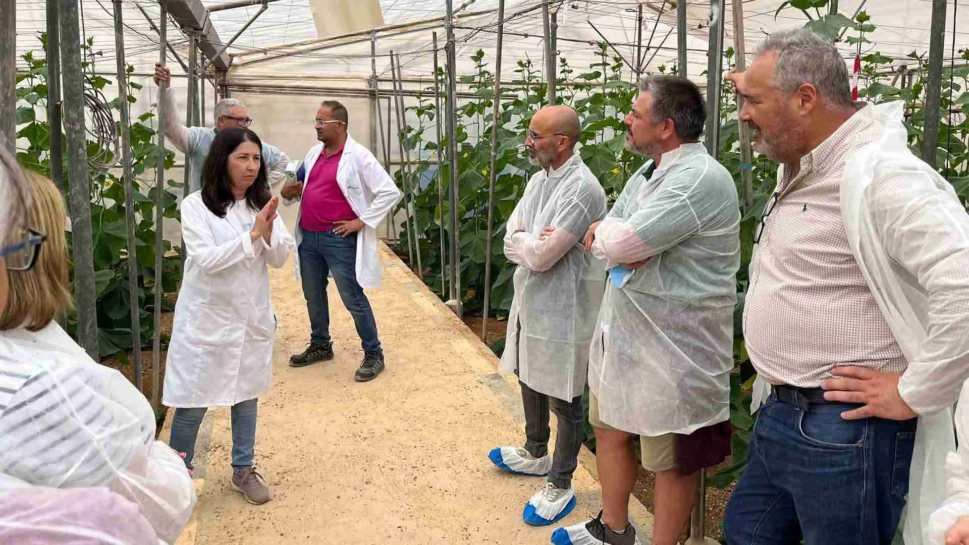 Visita al ensayo en la Estación Experimental Cajamar.