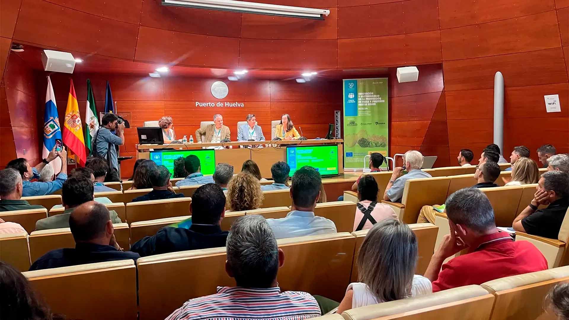 Mesa redonda de la jornada de frutos rojos.