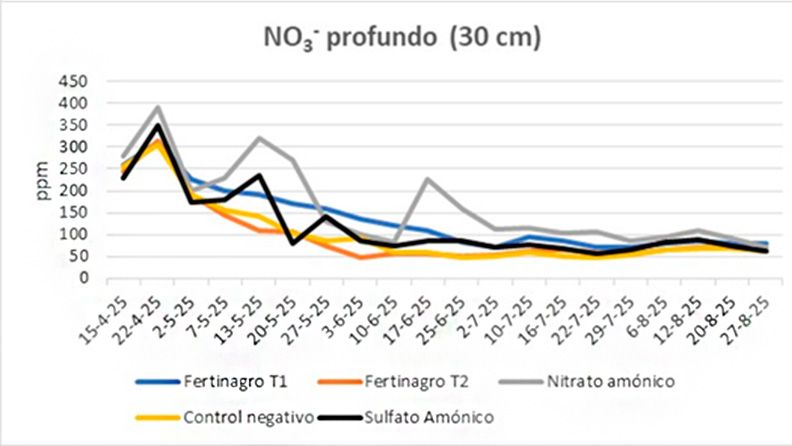 NO₃⁻ profundo (30 cm)