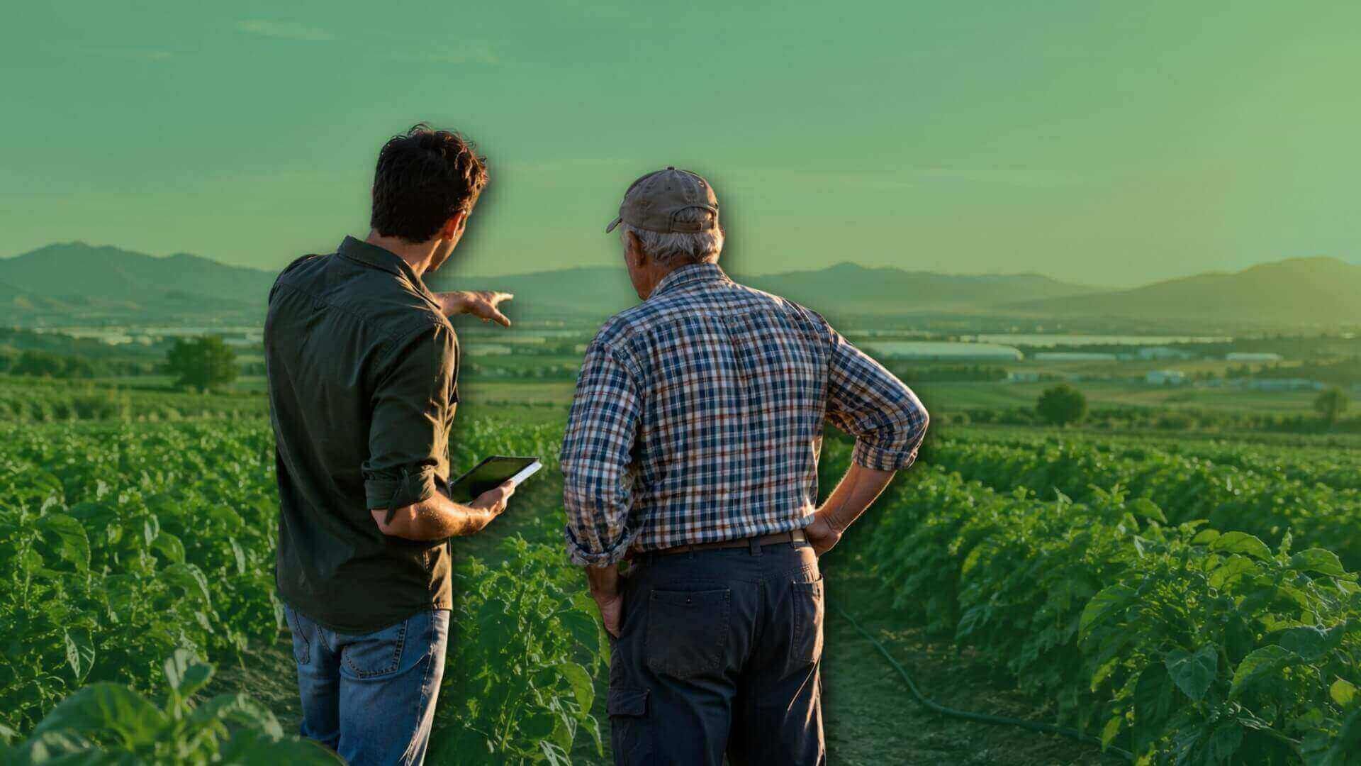 Agricultor joven junto a uno mayor en el campo, conversando o revisando un cultivo.