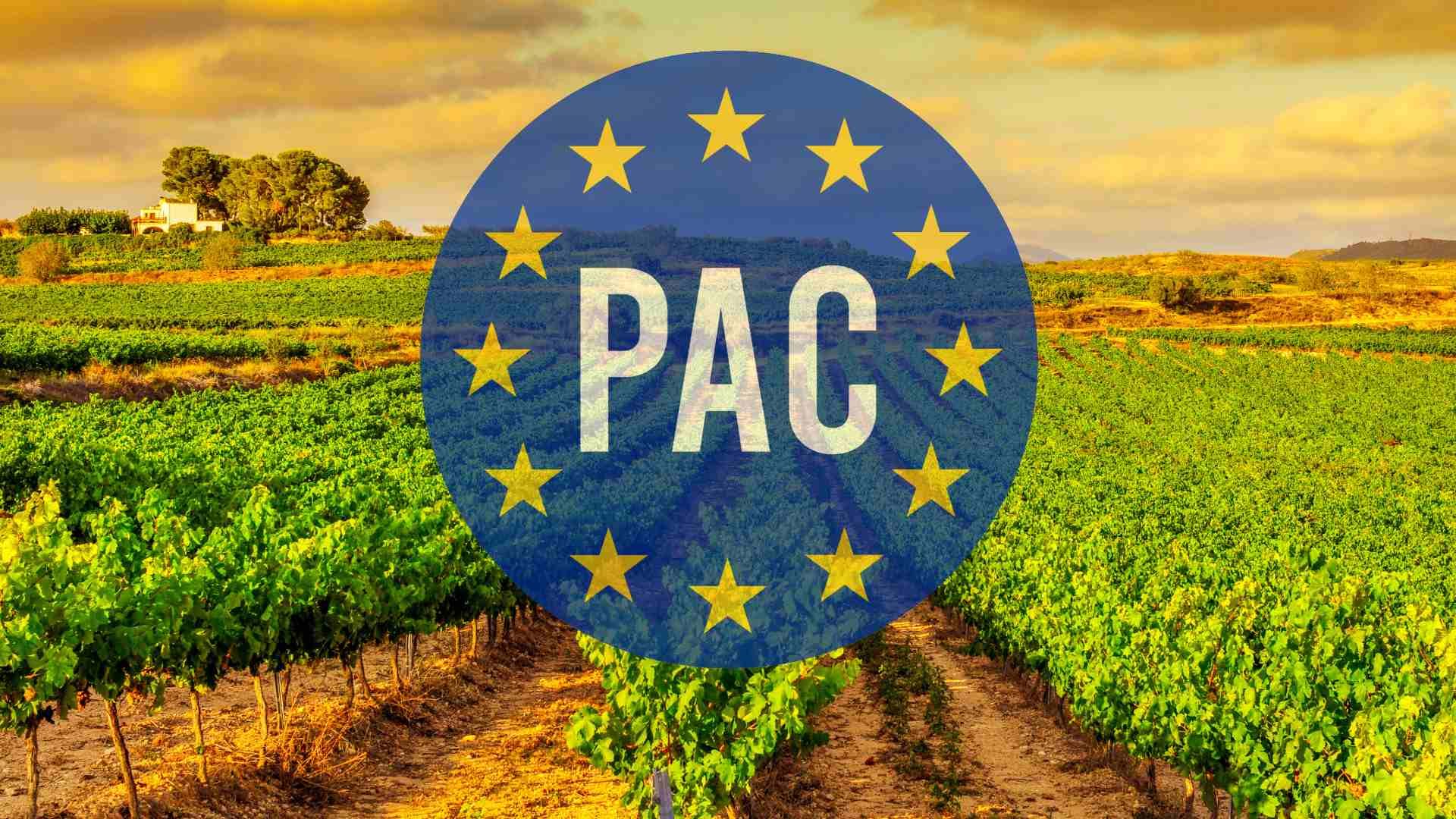La PAC en el sector vinícola.