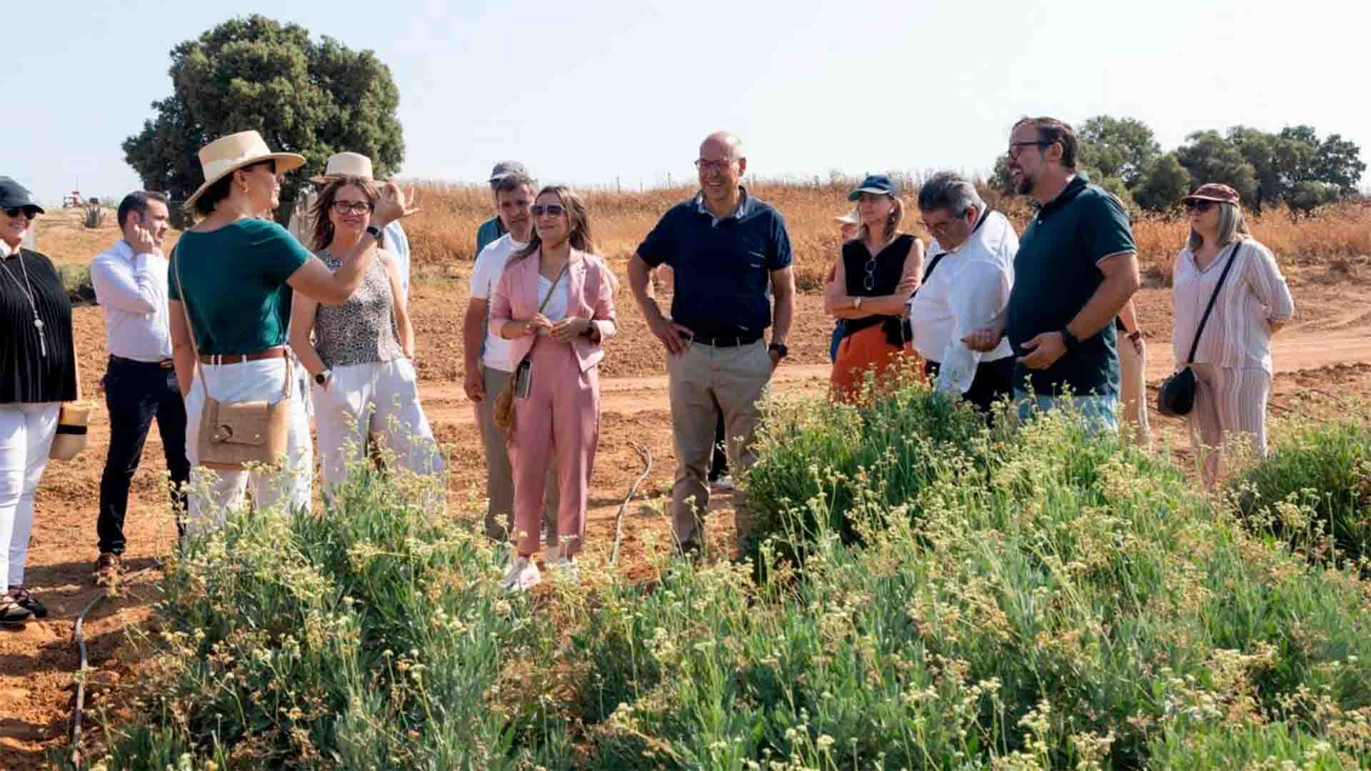 Visita a plantación de guayule en Santa Cruz de la Zarza (Toledo). Fuente: Gobierno de Castilla-La Mancha