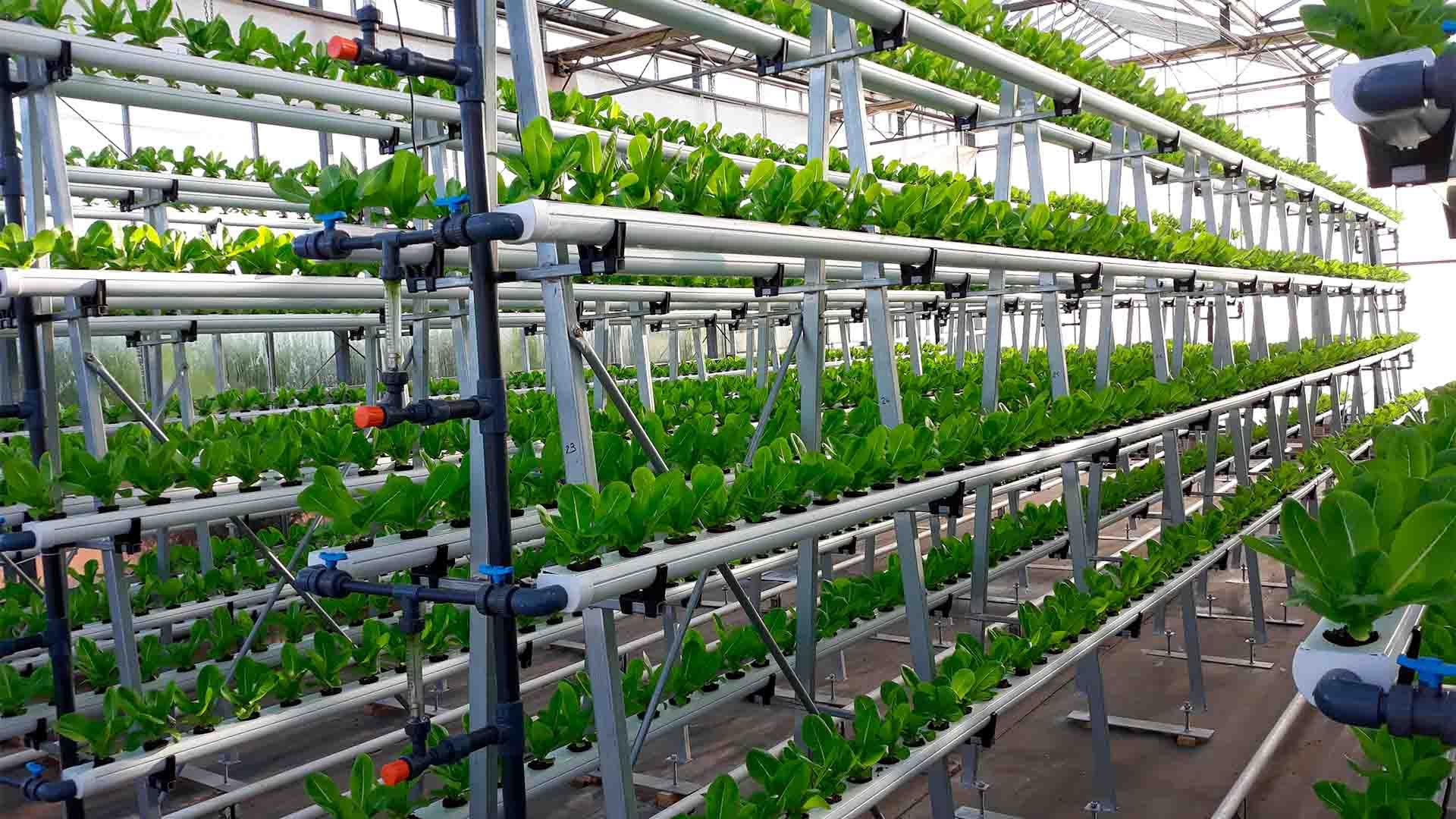 Plásticos para instalación de riego y canales en cultivos hidropónicos en el Centro de Experiencias Cajamar.