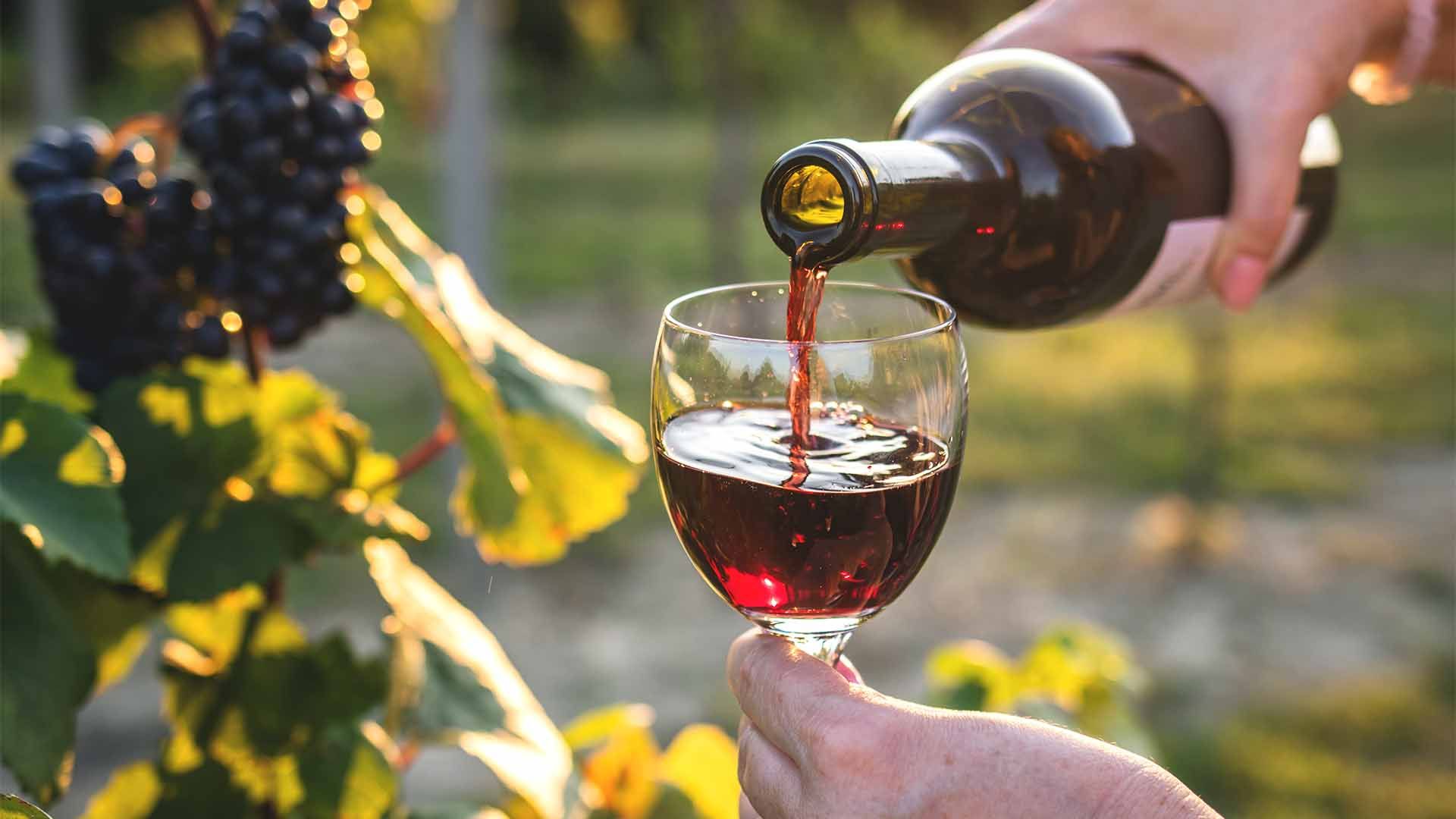 Copa de vino.