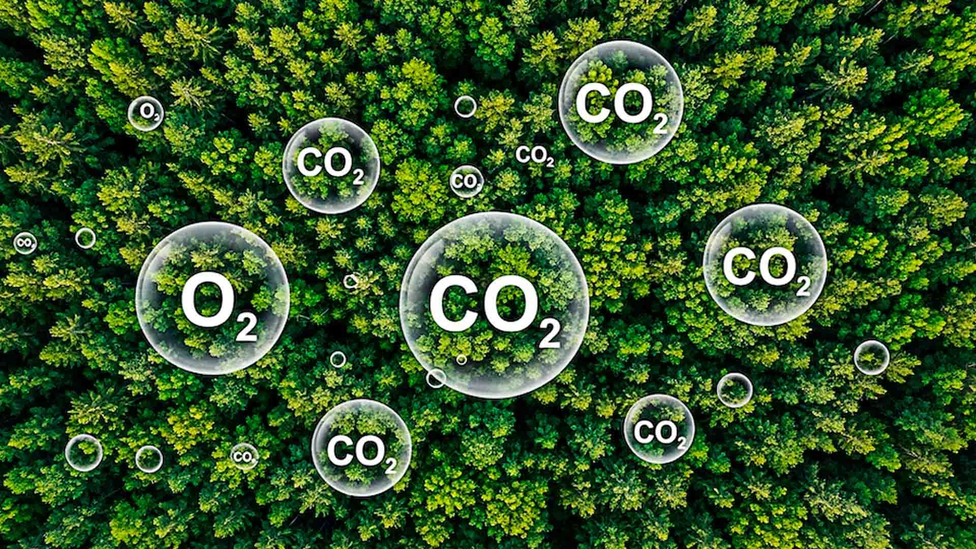 Absorción CO2