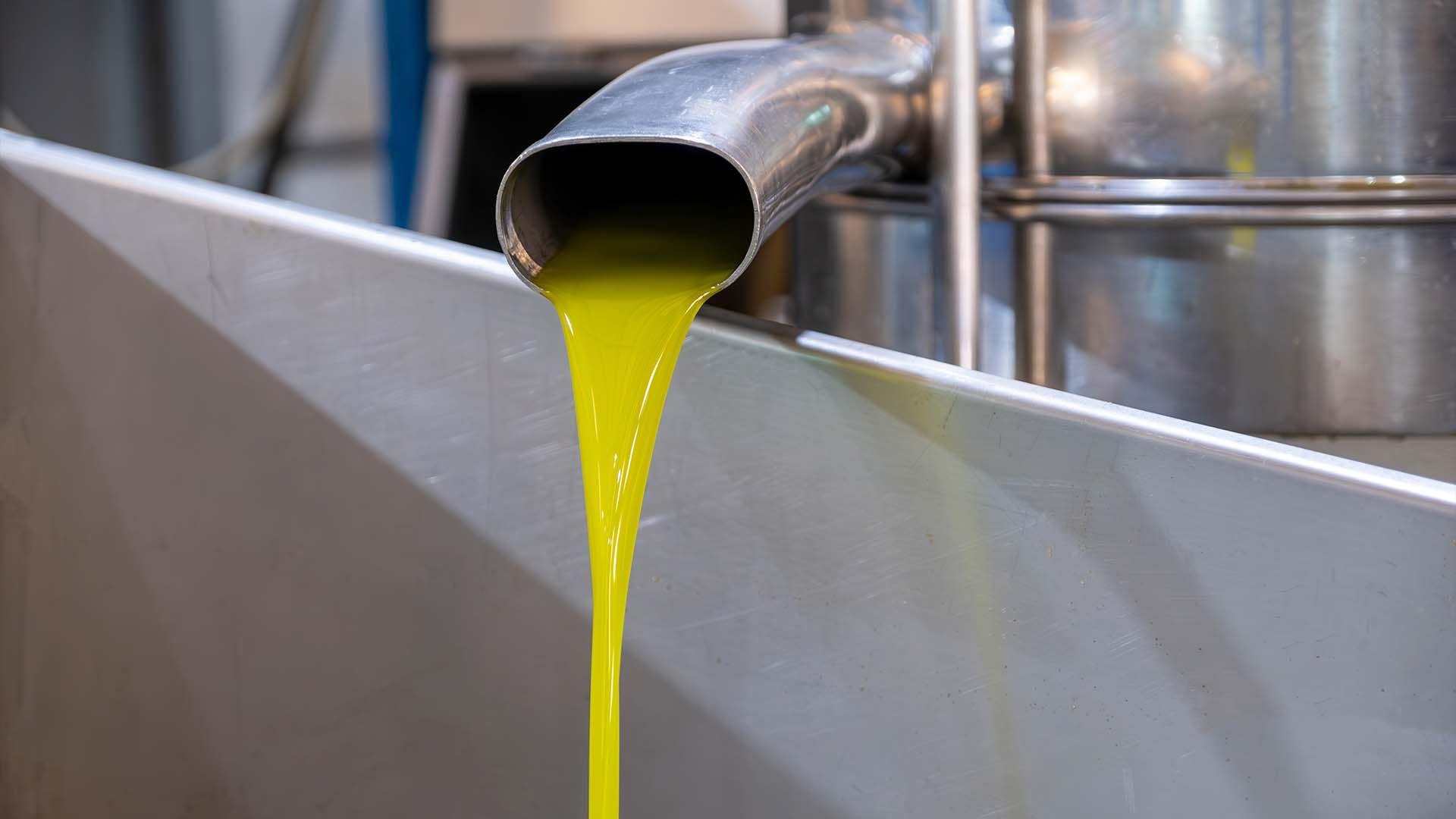 Tubo de acero inoxidable para verter aceite de oliva virgen fresco prensado por calor.