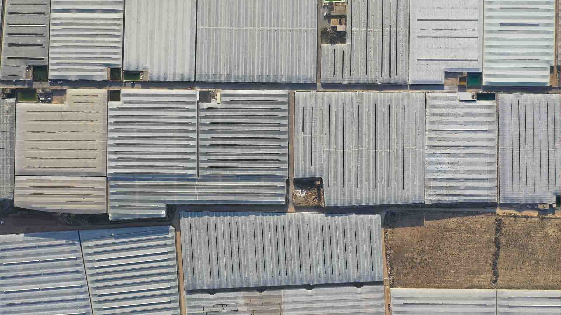 Vista aérea de invernaderos de plástico en un terreno llano.