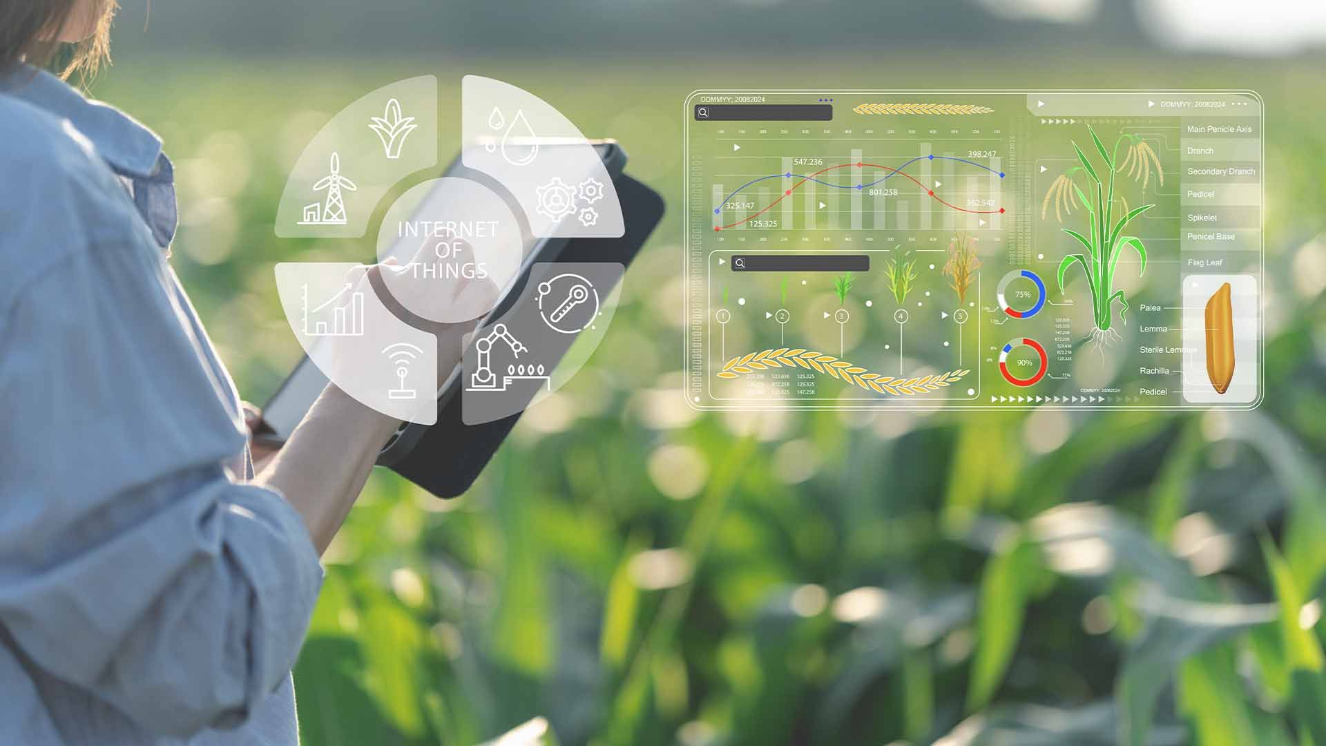 Innovación al servicio de la producción agraria.
