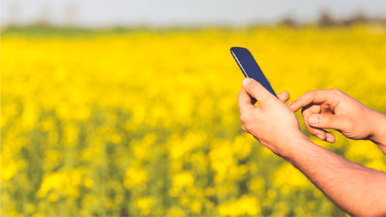 Agricultor utiliza una app a pie de finca