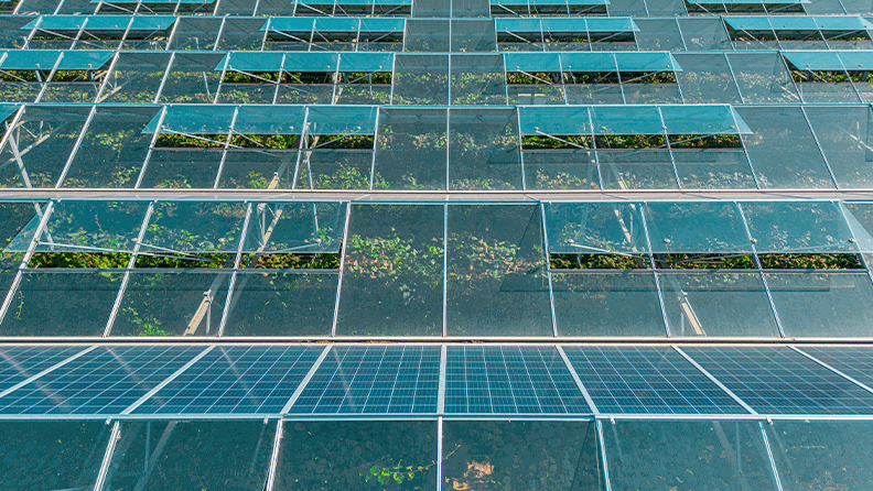 Invernadero para el cultivo de hortalizas con paneles fotovoltaicos montados
