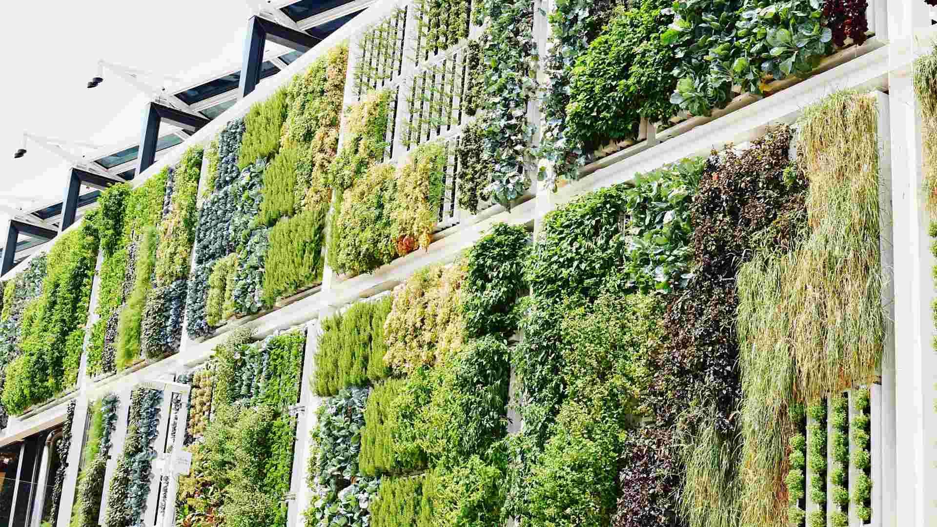 Agricultura Vertical para el suministro de alimentos