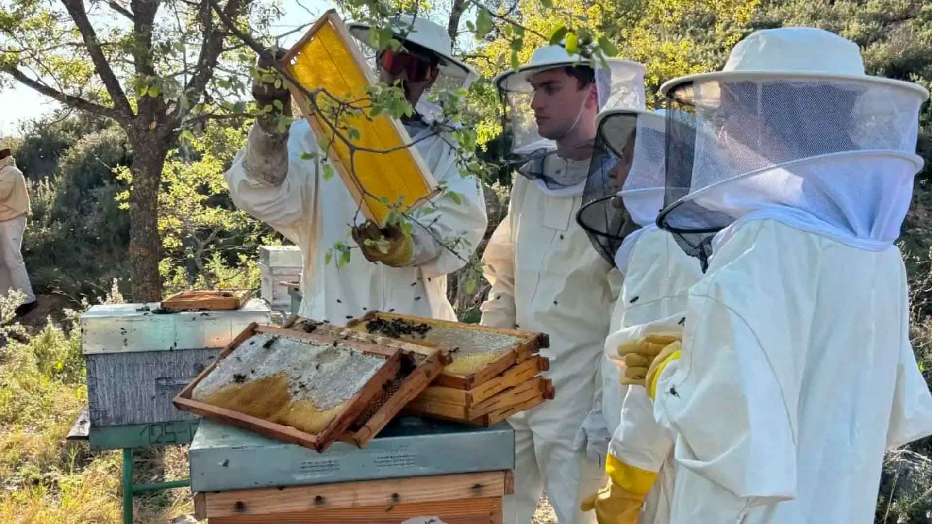 Actividad "apicultor por un día" en la finca La Nava. Cedida por Miel Nava