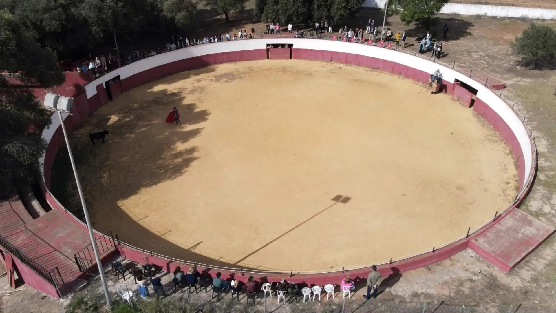 Actividad de ser ganadero por un día con la experiencia de tentadero. Ganadería Gavira