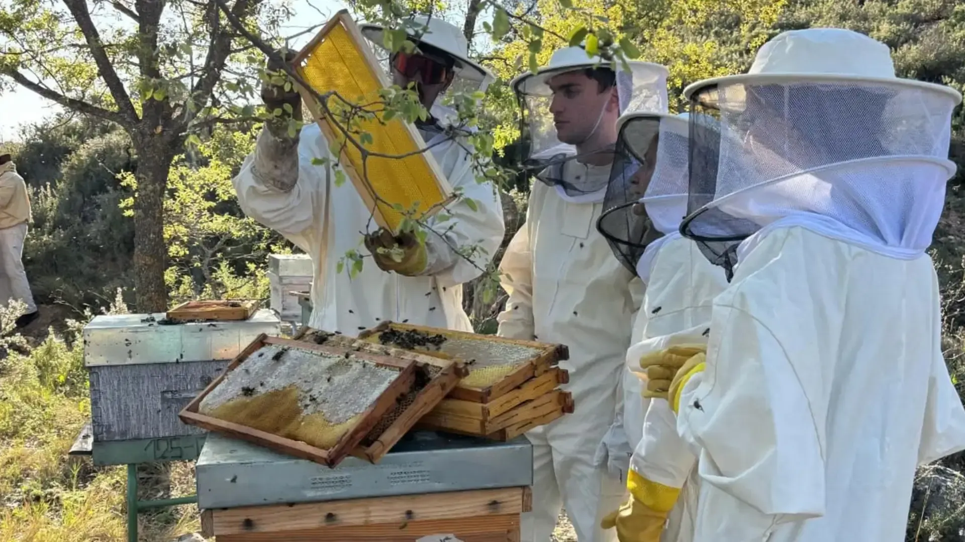 Actividad "apicultor por un día" en la finca La Nava. Cedida por Miel Nava