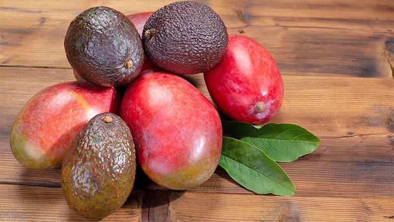 Bodegón de aguacate y mango.